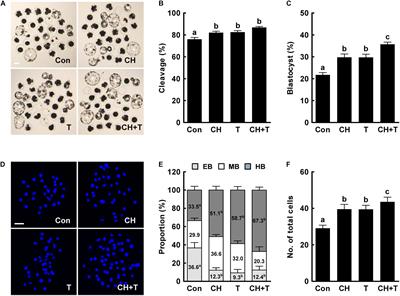 Combined Chaetocin/Trichostatin A Treatment Improves the Epigenetic Modification and Developmental Competence of Porcine Somatic Cell Nuclear Transfer Embryos